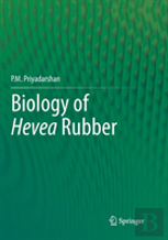 Biology Of Hevea Rubber