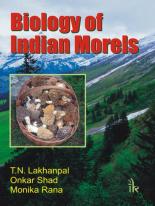 Biology Of Indian Morels