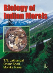Biology Of Indian Morels
