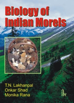 Bertrand.pt - Biology Of Indian Morels