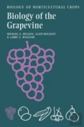 Biology Of The Grapevine