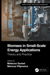 Biomass In Small-Scale Energy Applications