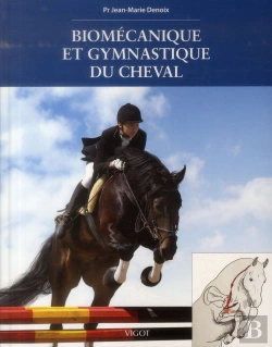 Bertrand.pt - Biomécanique Et Gymnastique Du Cheval