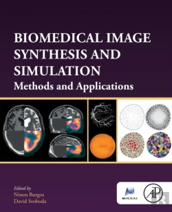 Bertrand.pt - Biomedical Image Synthesis And Simulation