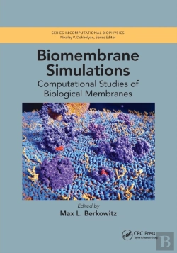 Bertrand.pt - Biomembrane Simulations