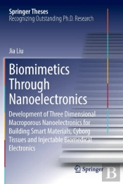 Biomimetics Through Nanoelectronics