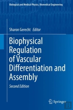 Bertrand.pt - Biophysical Regulation Of Vascular Differentiation And Assembly