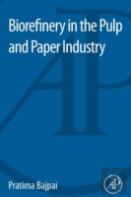 Biorefinery In The Pulp And Paper Industry