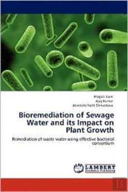 Bertrand.pt - Bioremediation Of Sewage Water And Its Impact On Plant Growth