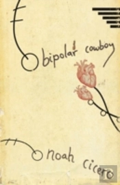 Bipolar Cowboy