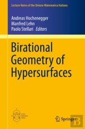 Birational Geometry Of Hypersurfaces