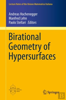 Bertrand.pt - Birational Geometry Of Hypersurfaces