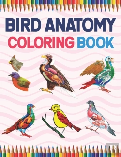 Bertrand.pt - Bird Anatomy Coloring Book