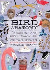 Bird Anatomy