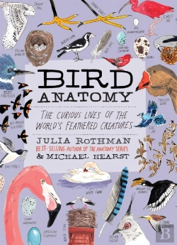 Bertrand.pt - Bird Anatomy