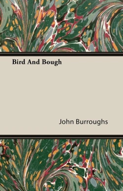 Bertrand.pt - Bird And Bough