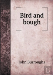 Bird And Bough