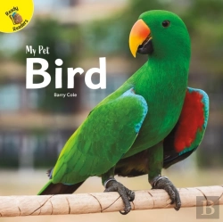 Bertrand.pt - Bird
