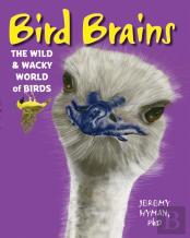 Bird Brains