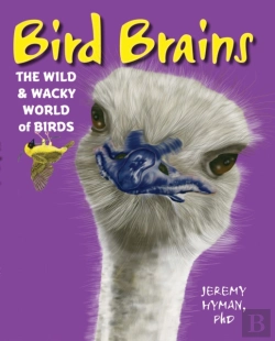 Bertrand.pt - Bird Brains
