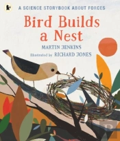 Bird Builds A Nest