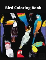Bird Coloring Book