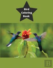 Bird Coloring Book