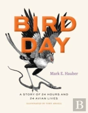 Bird Day