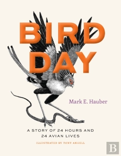 Bertrand.pt - Bird Day