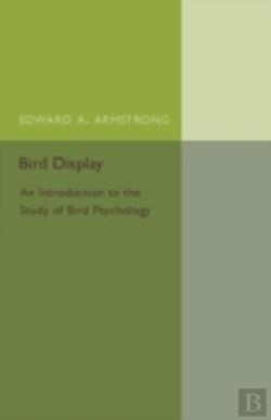 Bertrand.pt - Bird Display