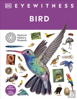 Bertrand.pt - Bird
