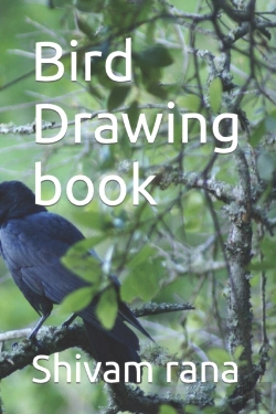 Bertrand.pt - Bird Drawing Book