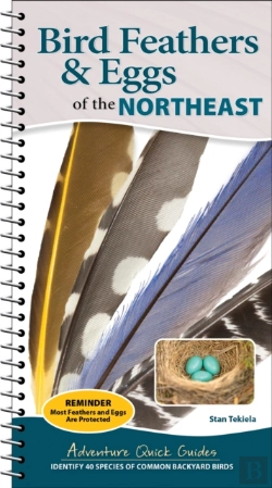 Bertrand.pt - Bird Feathers & Eggs Of The Northeast