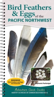 Bird Feathers & Eggs Of The Pacific Northwest
