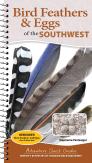 Bird Feathers & Eggs Of The Southwest