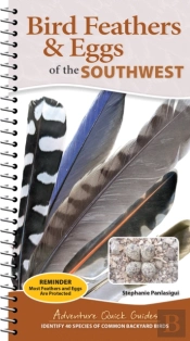 Bird Feathers & Eggs Of The Southwest
