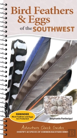 Bertrand.pt - Bird Feathers & Eggs Of The Southwest