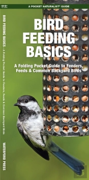 Bird Feeding Basics