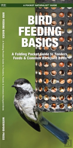 Bertrand.pt - Bird Feeding Basics