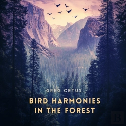 Bertrand.pt - Bird Harmonies In The Forest