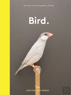 Bertrand.pt - Bird.