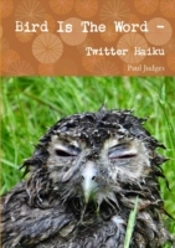 Bird Is The Word - Twitter Haiku