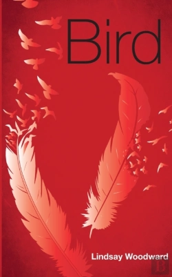 Bertrand.pt - Bird