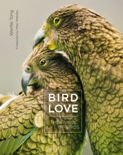 Bertrand.pt - Bird Love