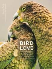 Bird Love
