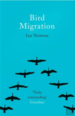 Bertrand.pt - Bird Migration
