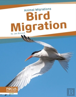 Bertrand.pt - Bird Migration