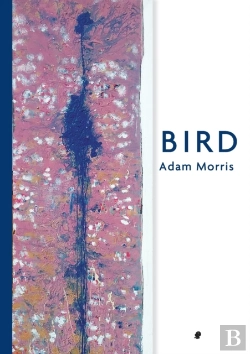 Bertrand.pt - Bird