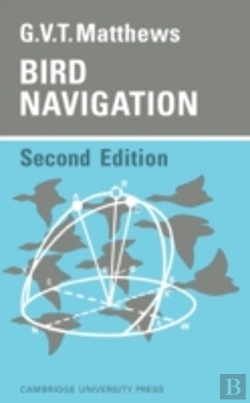 Bertrand.pt - Bird Navigation