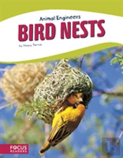 Bird Nests